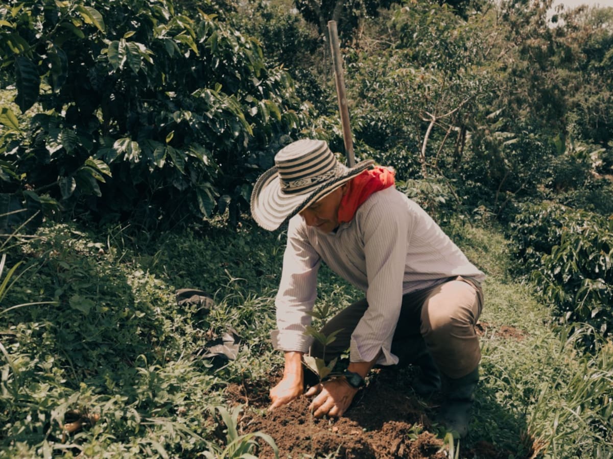 En octubre se celebra el Mes Internacional del Café