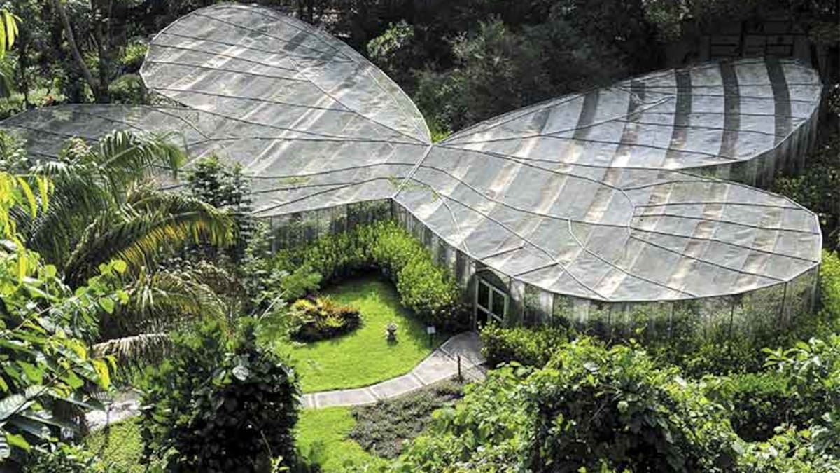 Jardín Botánico del Quindío invita a regresar al turismo de naturaleza tras el terremoto