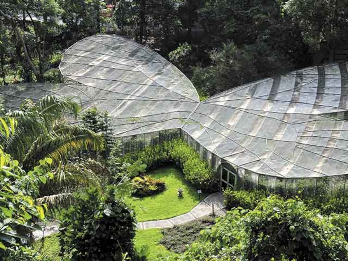 Jardín Botánico del Quindío invita a regresar al turismo de naturaleza tras el terremoto