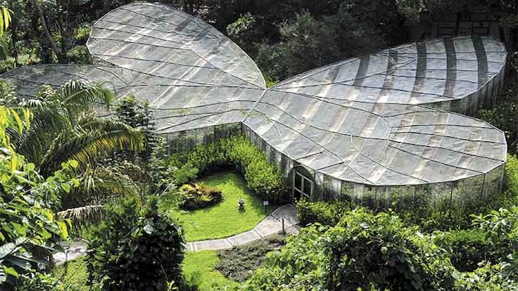 Jardín Botánico del Quindío invita a regresar al turismo de naturaleza tras el terremoto