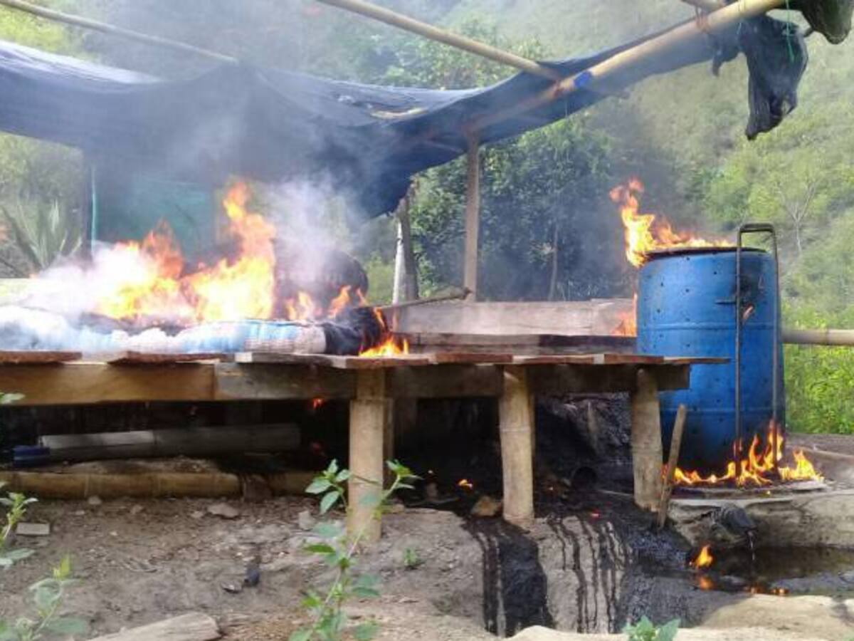 Siguen los golpes contra el narcotráfico en Huila