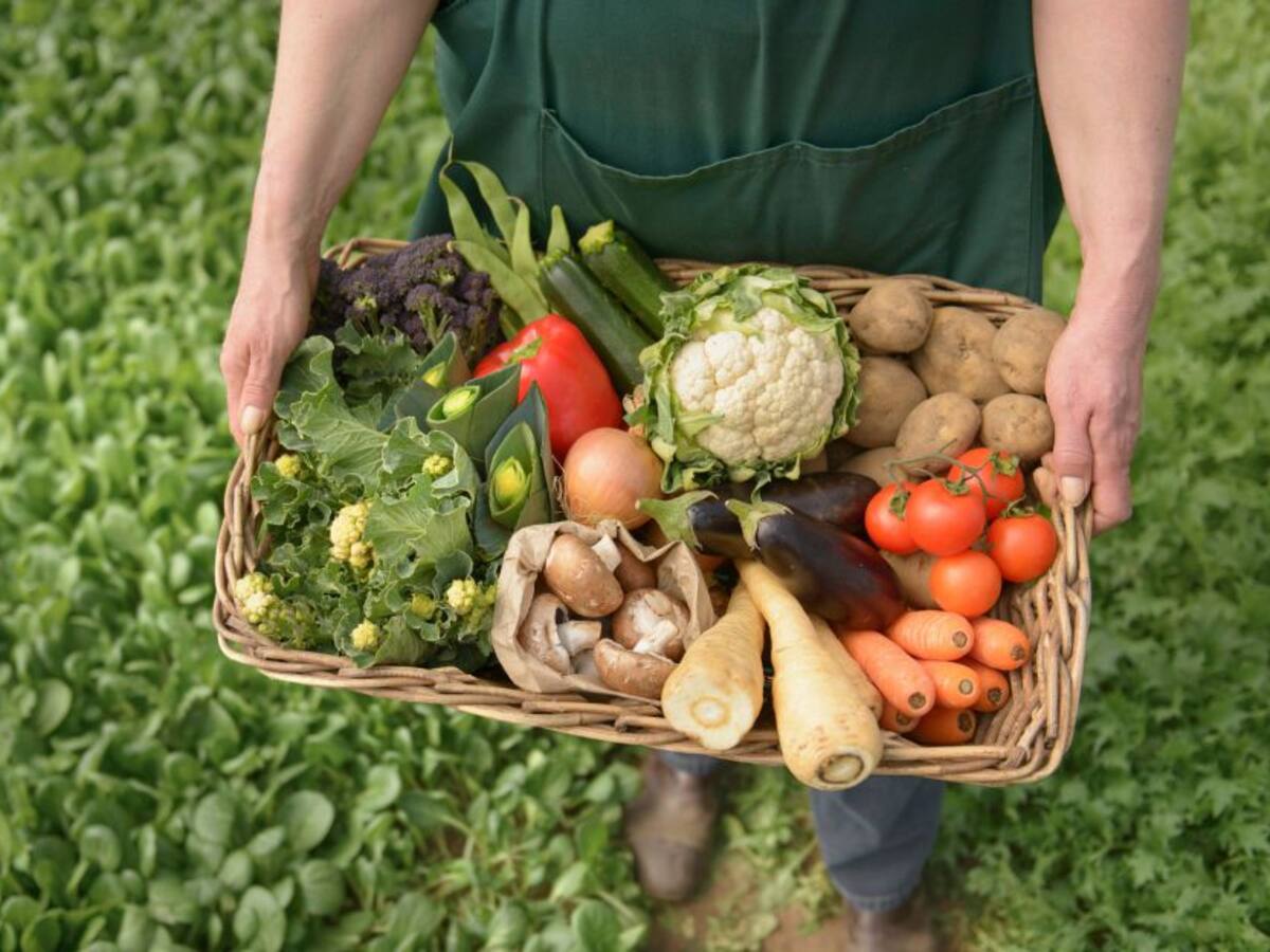 Alzas en arveja, fríjol y papa criolla