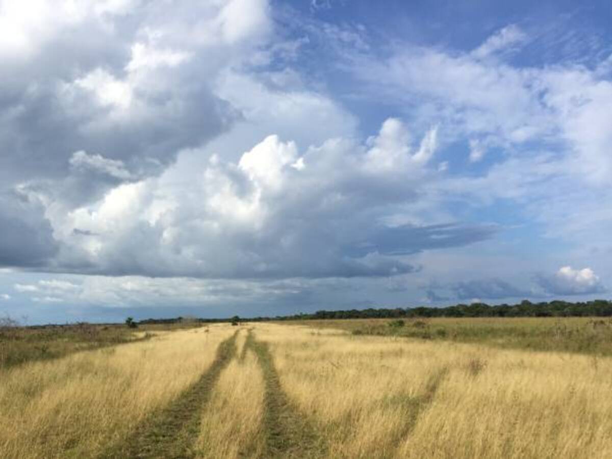 El safari por las ruinas históricas de las Farc en tiempos de paz