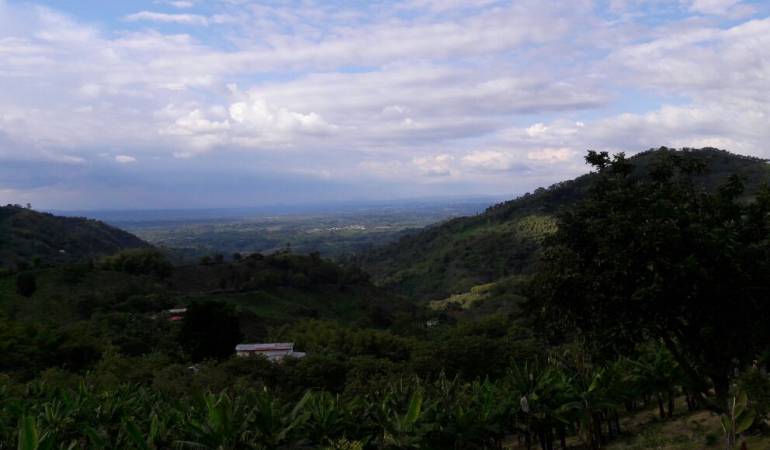 Síganos en twitter @caracolarmenia1 y en Facebook Caracol Radio Armenia 1150AM