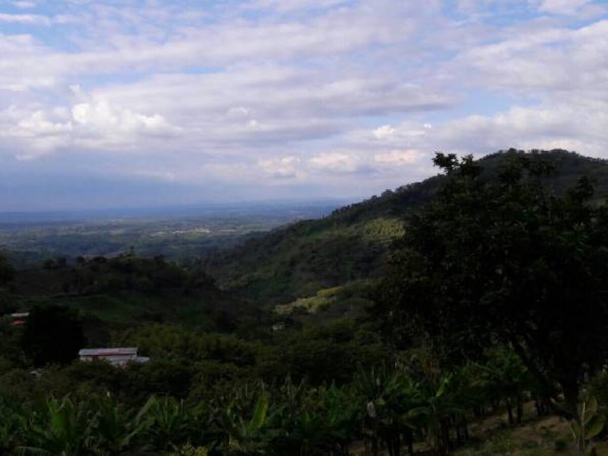 Lunes 31 de octubre, noticias más importantes de Armenia y Quindío