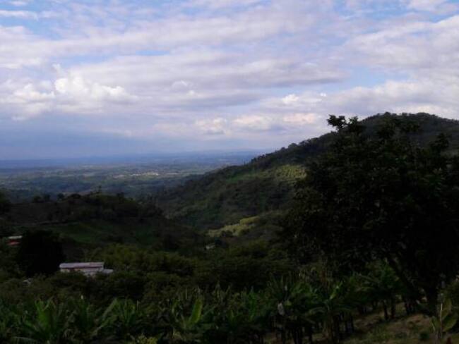 Síganos en twitter @caracolarmenia1 y en Facebook Caracol Radio Armenia 1150AM