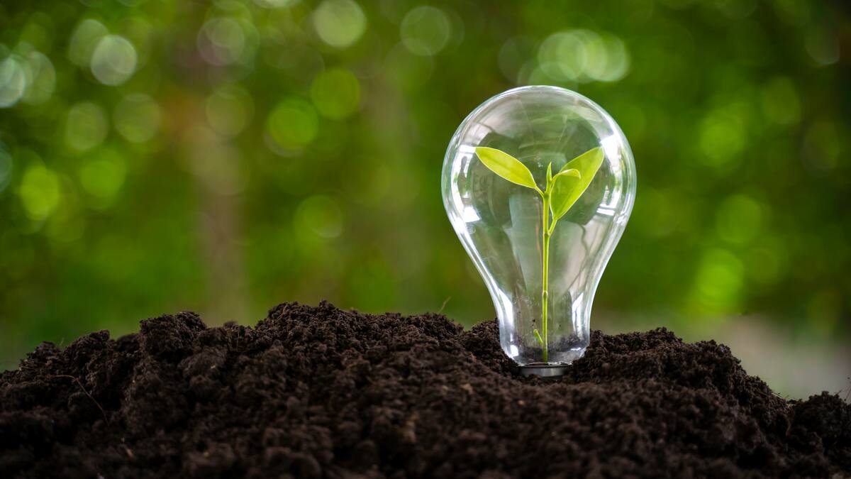 Cómo lograr un consumo óptimo de energía