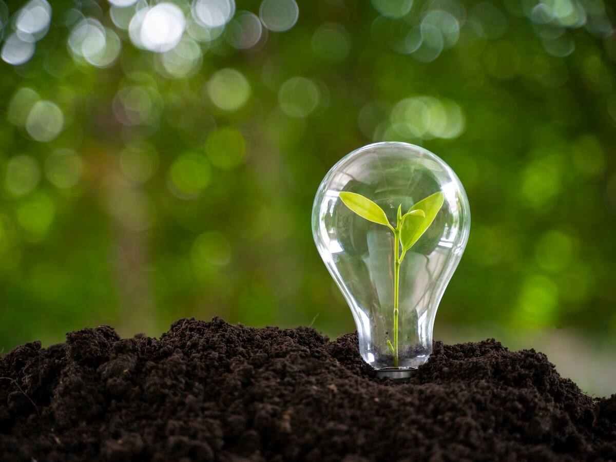 Cómo lograr un consumo óptimo de energía