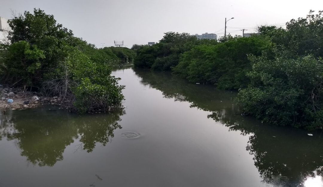 Esta estrategia busca visibilizar la importancia de los cuerpos de agua para generar una mayor conciencia y compromiso en su preservación