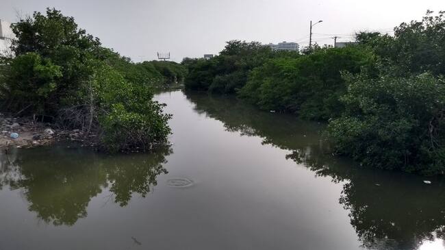 Esta estrategia busca visibilizar la importancia de los cuerpos de agua para generar una mayor conciencia y compromiso en su preservación