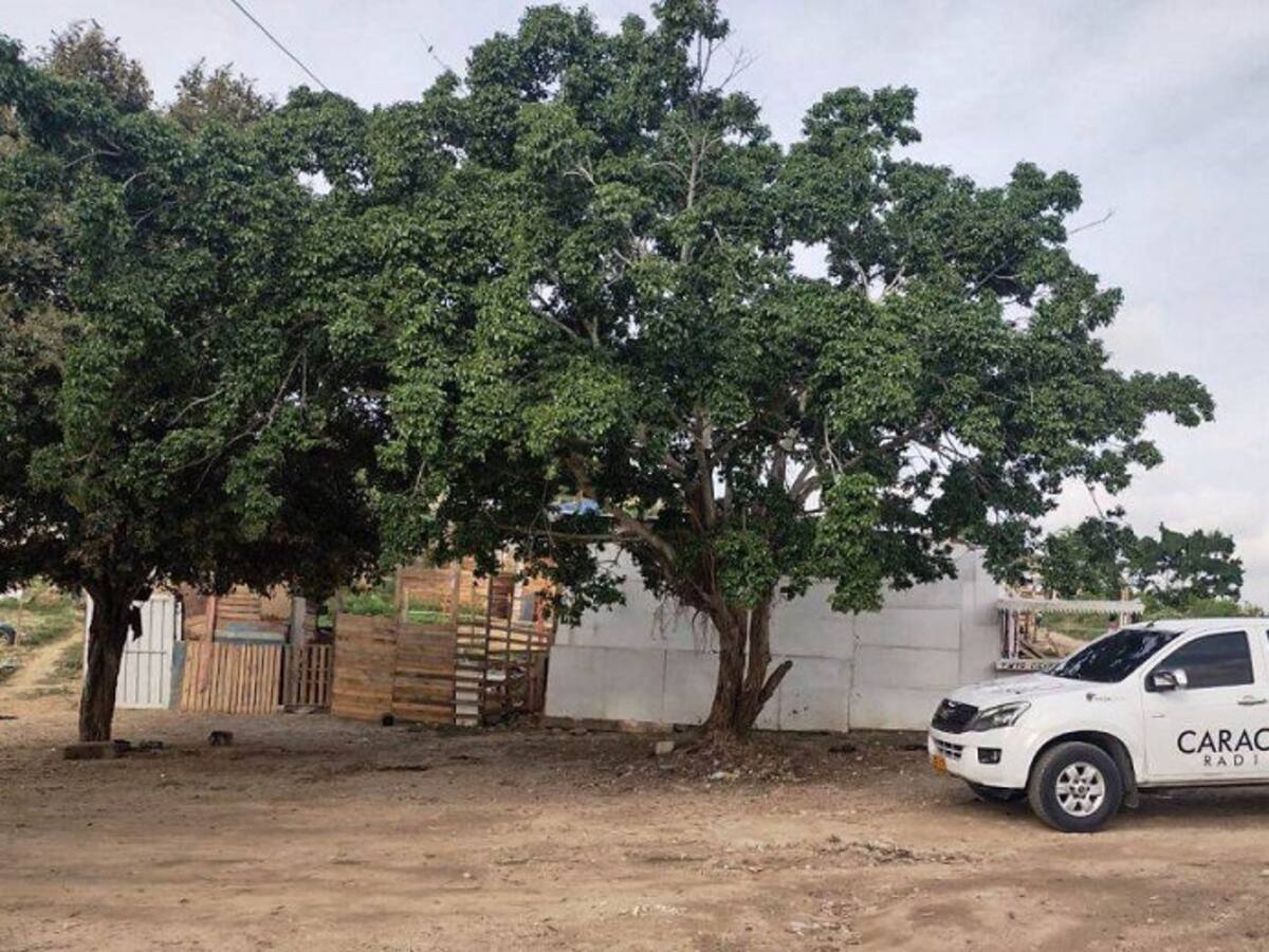 Concejo pide al Distrito exonerar de impuestos a damnificados de San Francisco