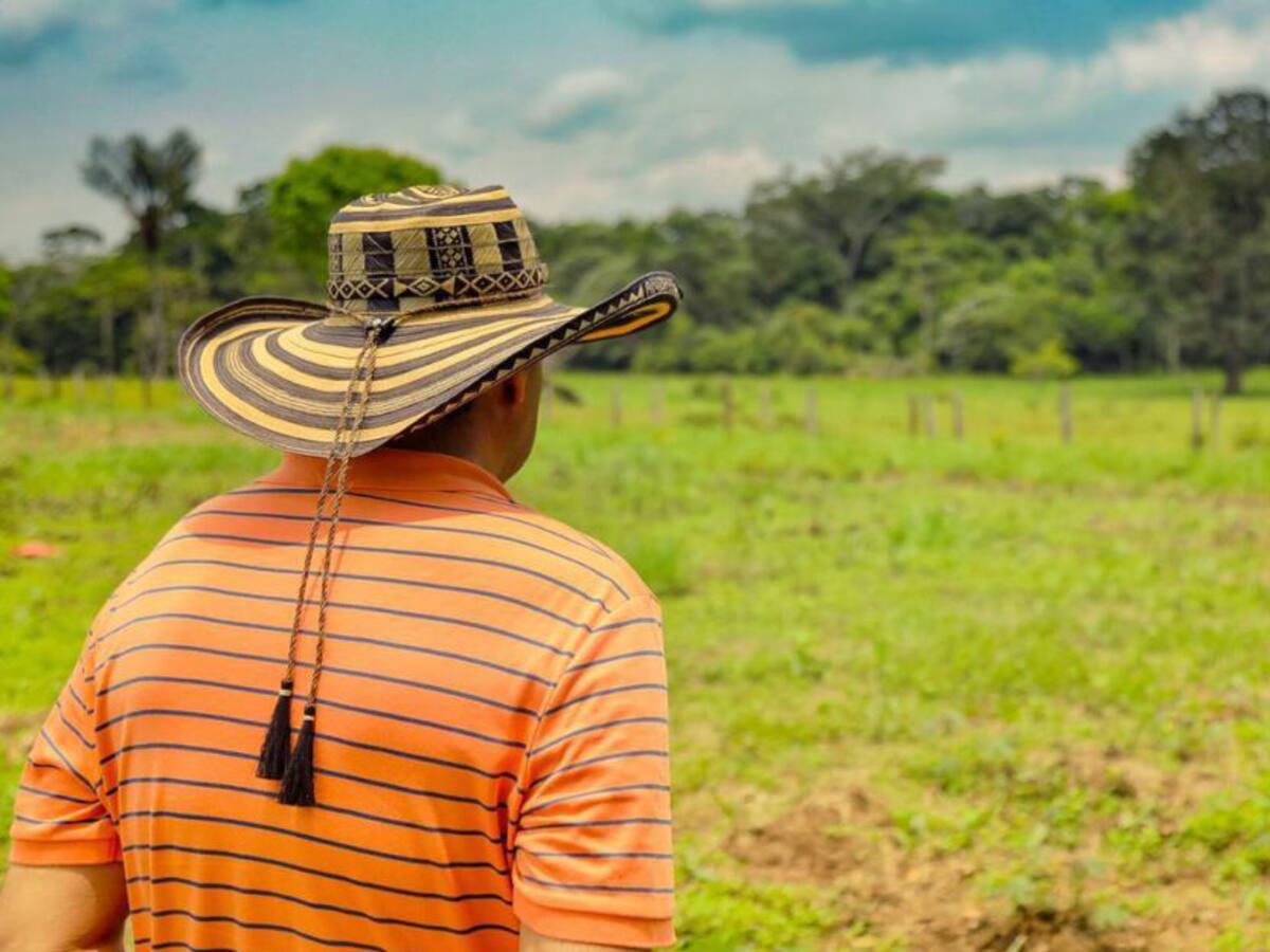 Alertan sobre falsos tramitadores para la adjudicación de tierras