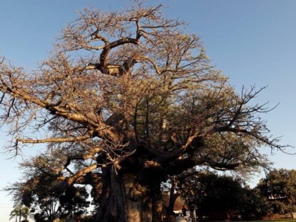 MinAmbiente: Desde noviembre comenzará la sequía