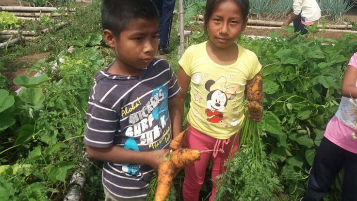 Una huerta para la paz y una vida mejor