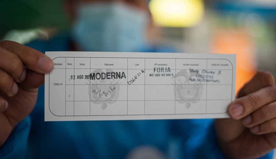 Carné vacunación (Foto de referencia)