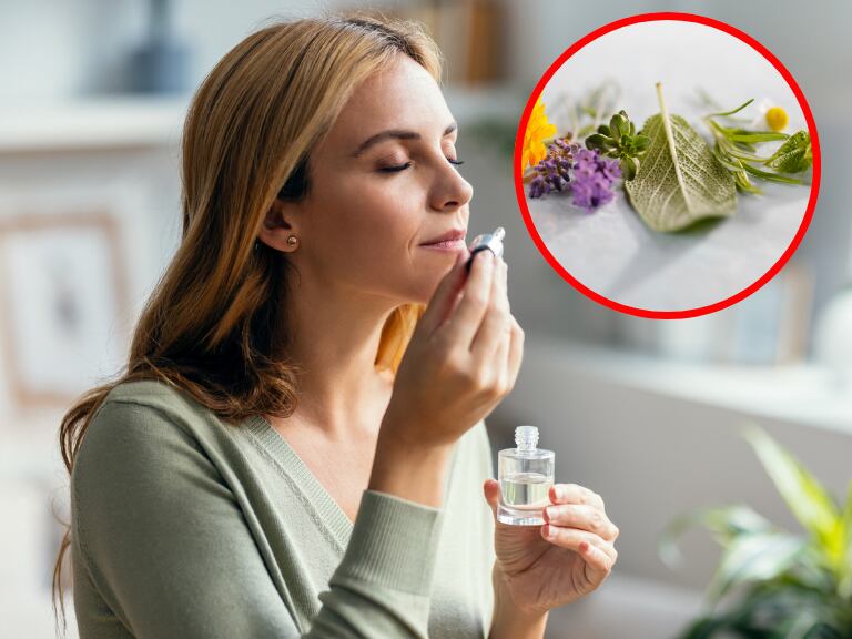 Imágenes de referencia de aromas // Getty Images