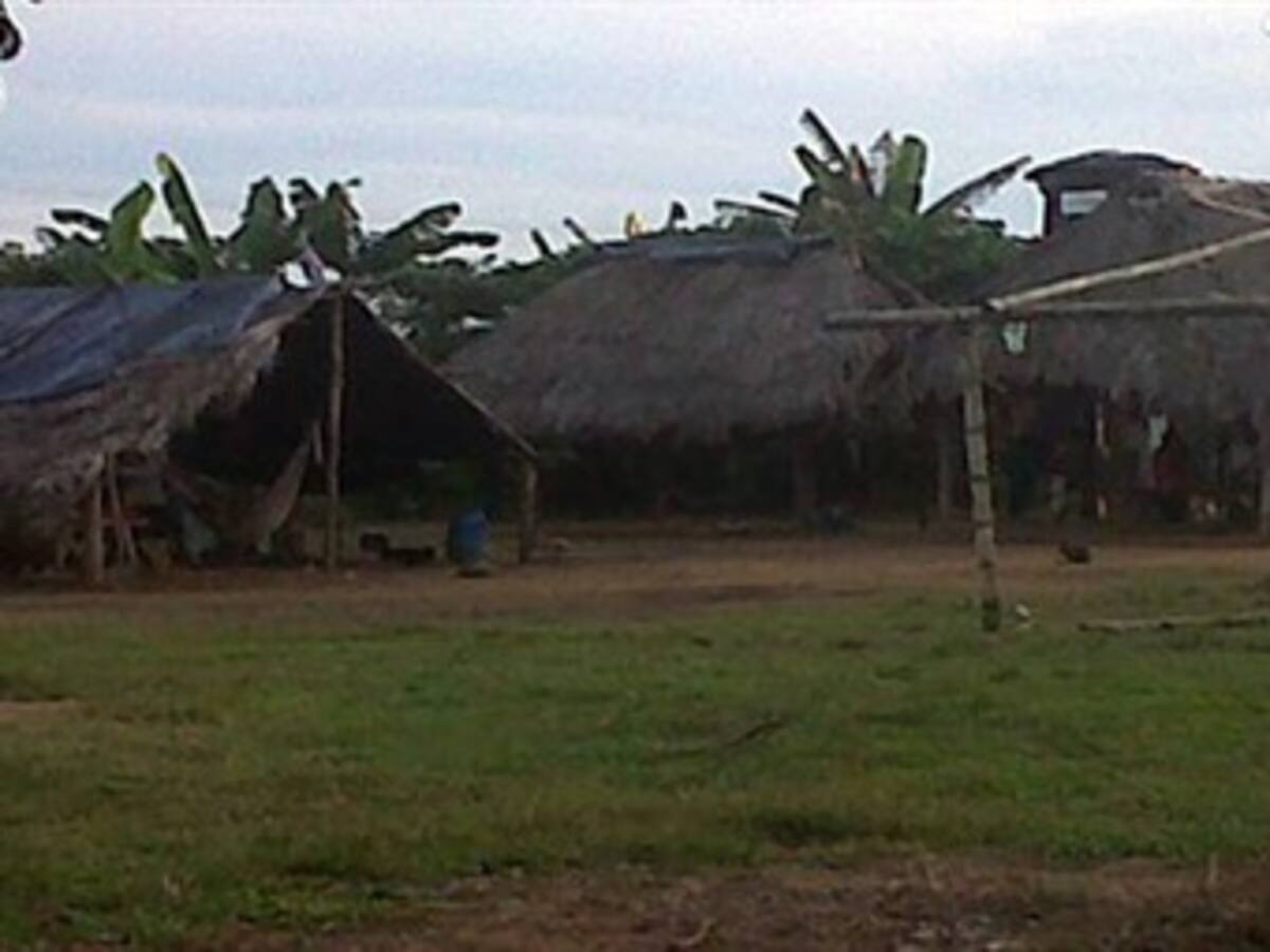 Mindefensa deberá devolver seis hectáreas del resguardo indígena Nükak Makú