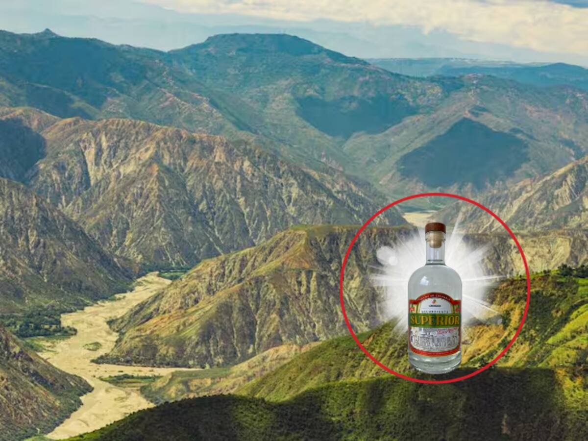 Dany Villamizar, gerente encargado de la Empresa Licorera de Santander