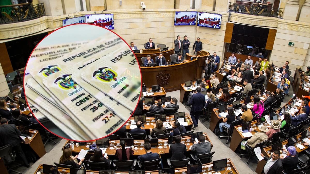 Congreso aprobó licencia de conducción por puntos en Colombia: Así funcionará