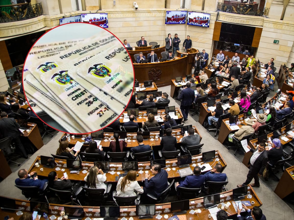 Congreso aprobó licencia de conducción por puntos en Colombia: Así funcionará