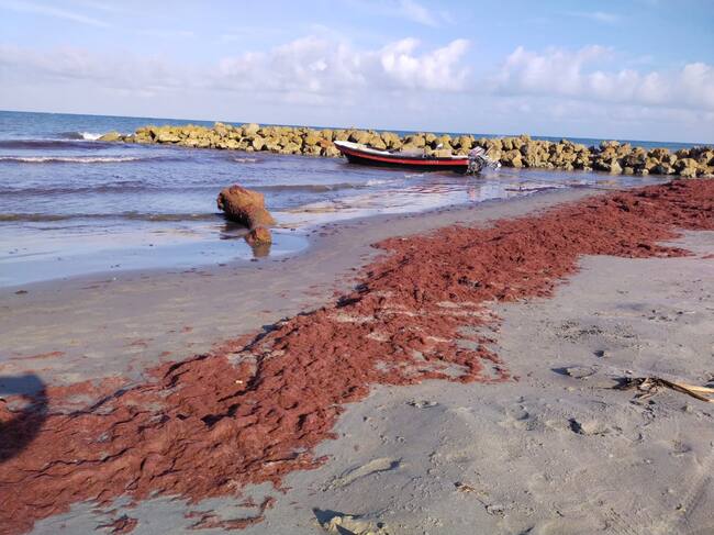 Caracol Radio Cartagena