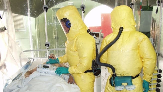 Varios de los virus pertenecen a la familia del Ébola.. Foto: Pixabay