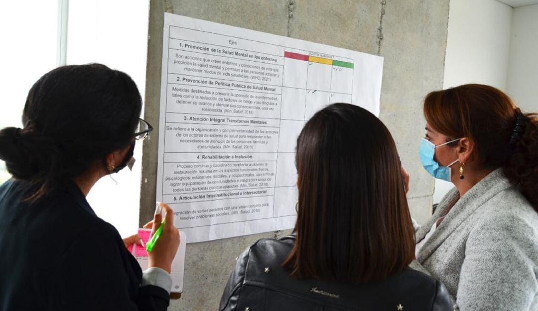 Actualización de la Política Pública de Salud Mental