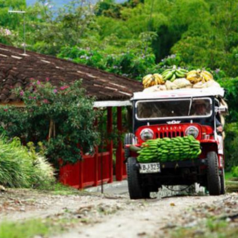 Risaralda turismo de aventura y naturaleza de la mejor calidad