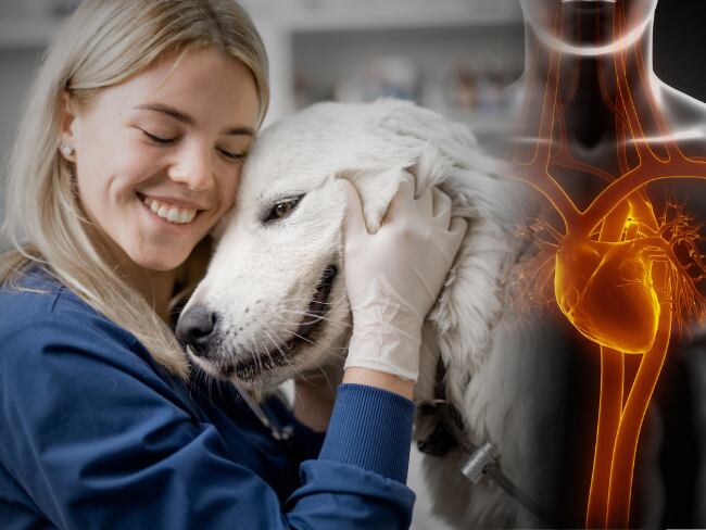 Mujer abrazando un perro y referencia de salud de una personas