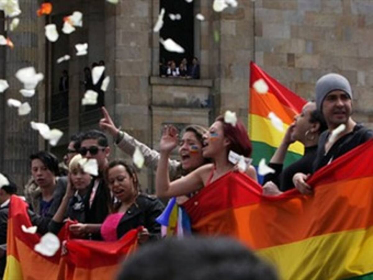 Vicepresidente pide investigar abusos de la Policía sobre población LGBTI