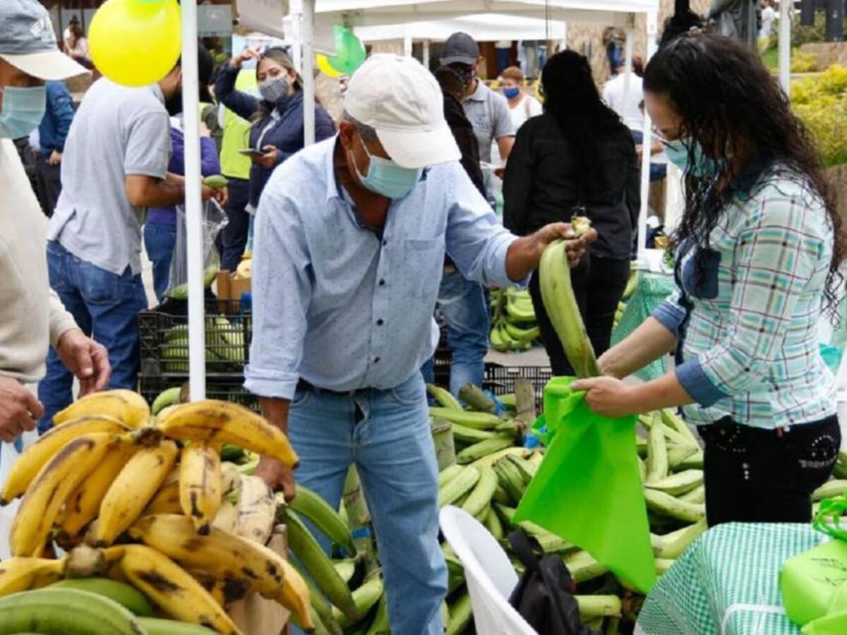 En la primera Platanatón Campesina se vendieron 2 mil kilos de ese producto