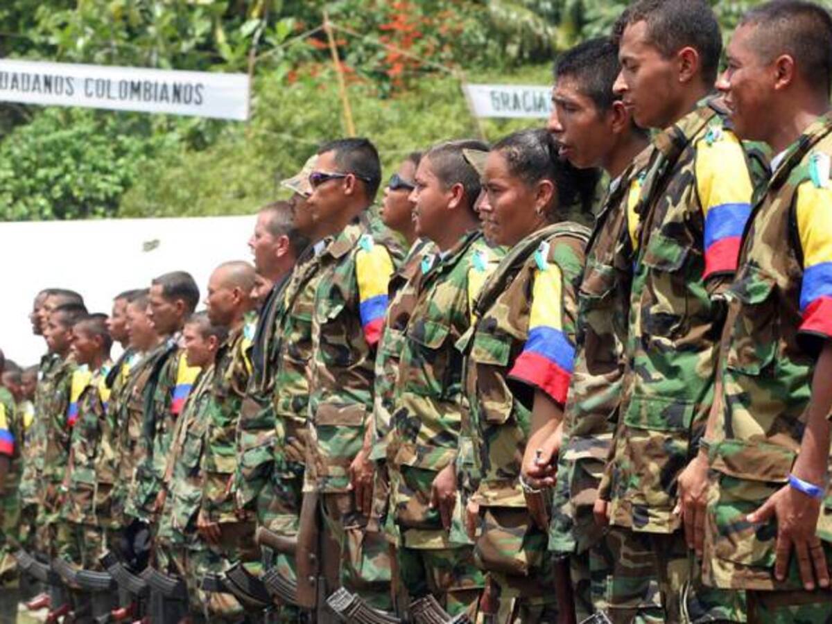 Las pretensiones de las Farc para su reintegración