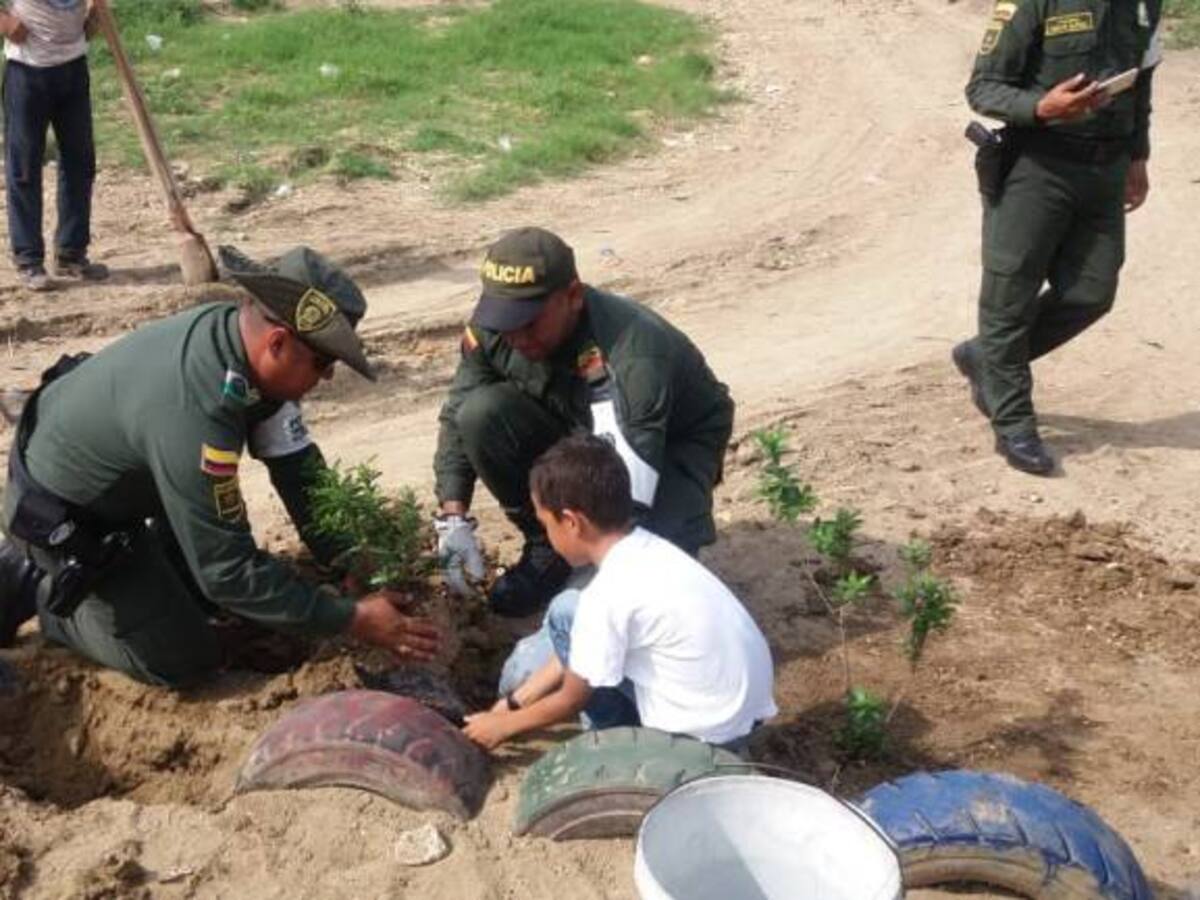 Policía de Cartagena realiza jornada de arborización en Nelson Mandela