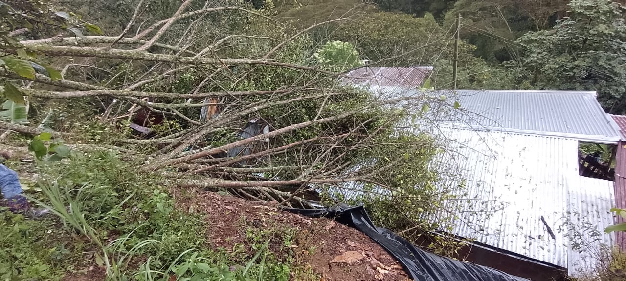 La emergencia se presentó en la población de Chaparral, Tolima.