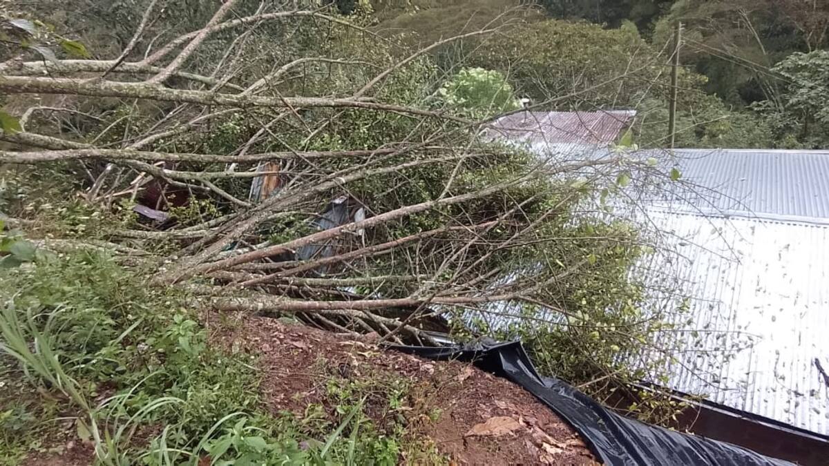 Logran traslado de heridos por deslizamiento de tierra a centros asistenciales del Tolima