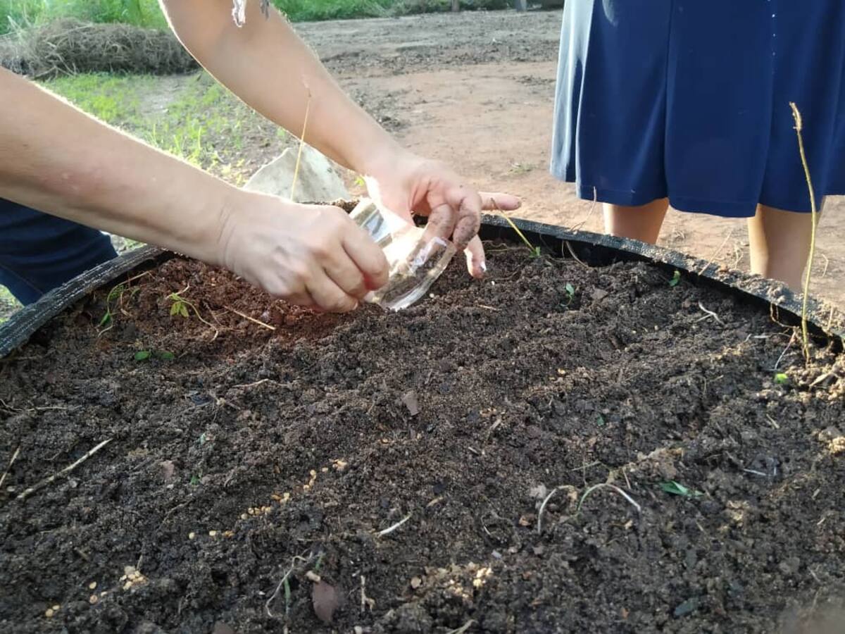 El mundo necesita una agricultura urbana segura y eficiente