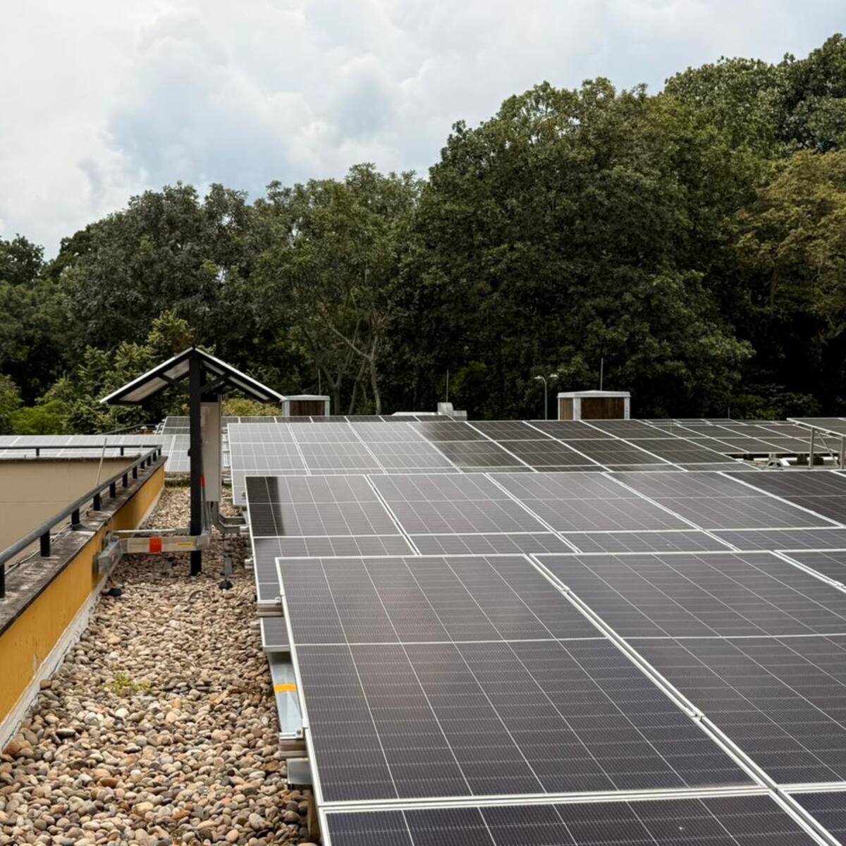 Ecopetrol encendió techo solar que ayuda a reducir 101 toneladas de CO₂ al año