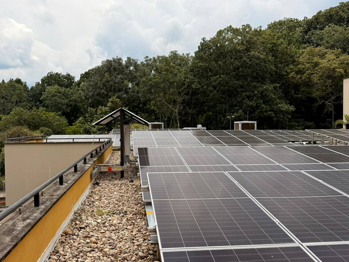 Ecopetrol encendió techo solar que ayuda a reducir 101 toneladas de CO₂ al año