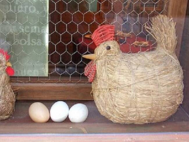 ¿Surgió primero el huevo o la gallina? Científicos responden