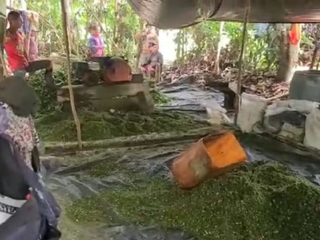 Van 196 laboratorios de coca destruidos en Guaviare y Meta este año