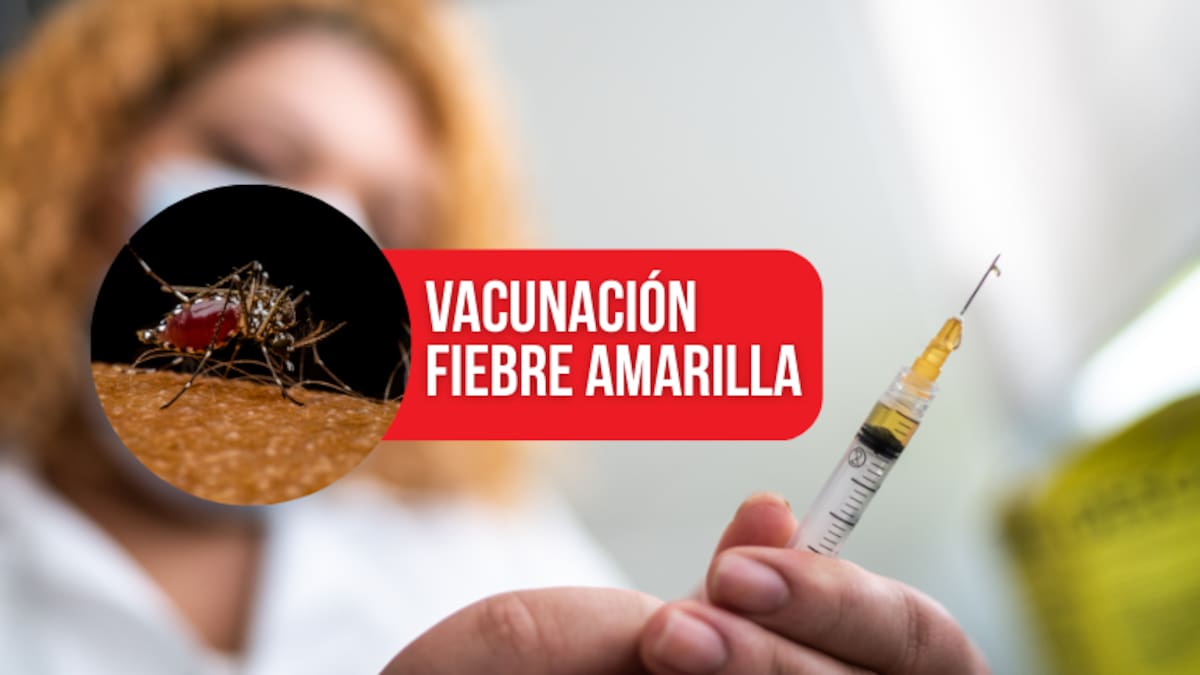 ¿Dónde vacunan contra la fiebre amarilla? Así puede encontrar el punto más cercano según su ciudad