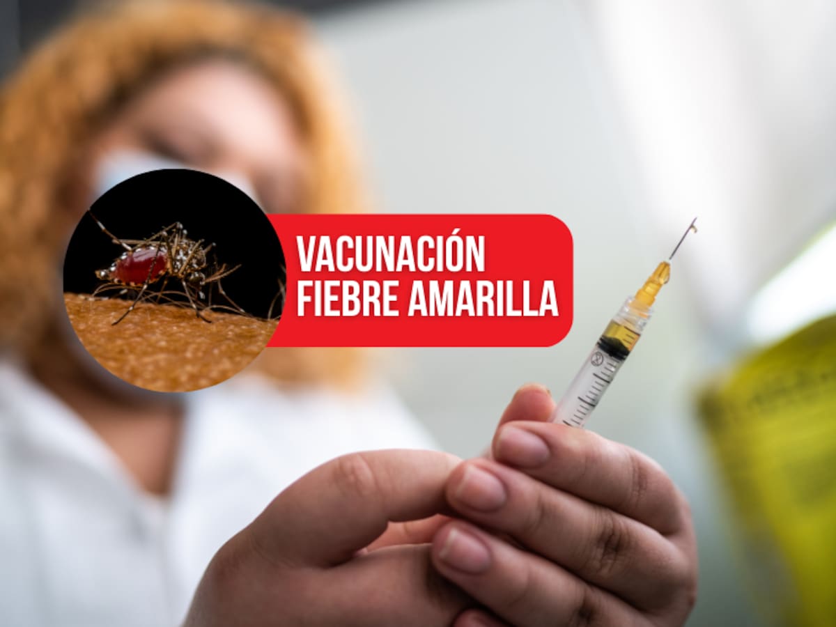 Fiebre Amarilla: ¿Dónde vacunarse en Ibagué?