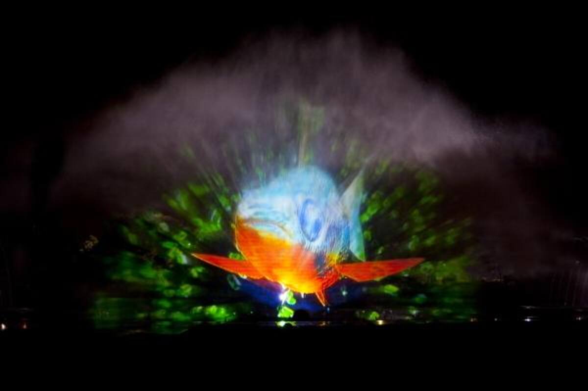 Resalta elementos de la fauna y flora en todas las regiones del país.