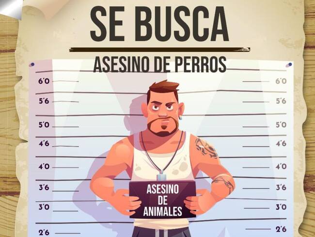 Con este cartel las autoridades buscan a los responsables de la muerte de los animales.