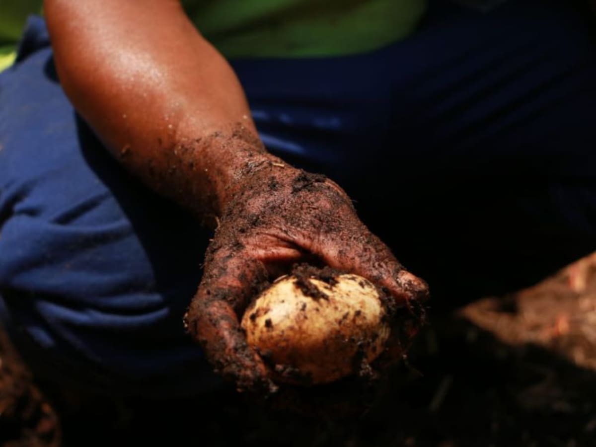 San antero, un municipio ecoturista