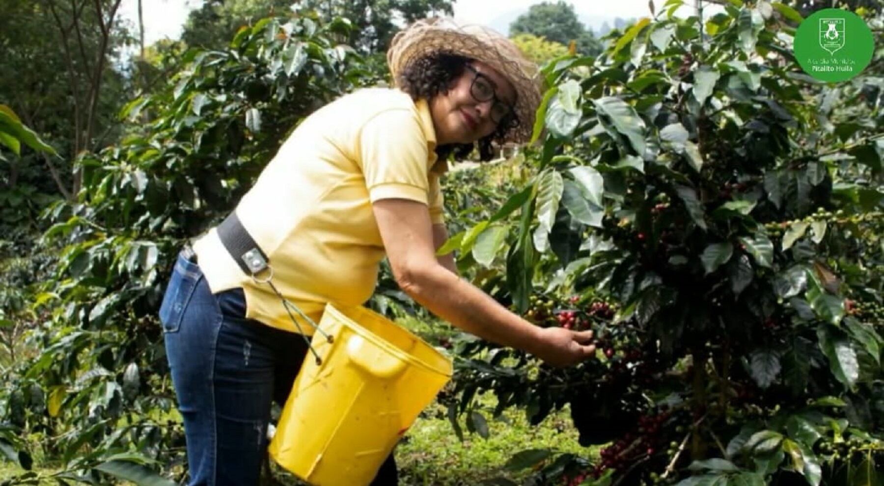 Mujeres del Huila, las mejores embajadoras del café ante el mundo