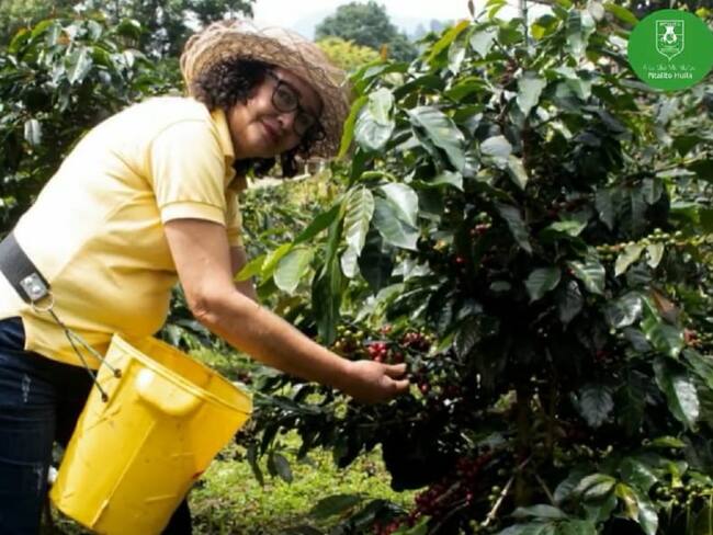Mujeres del Huila, las mejores embajadoras del café ante el mundo