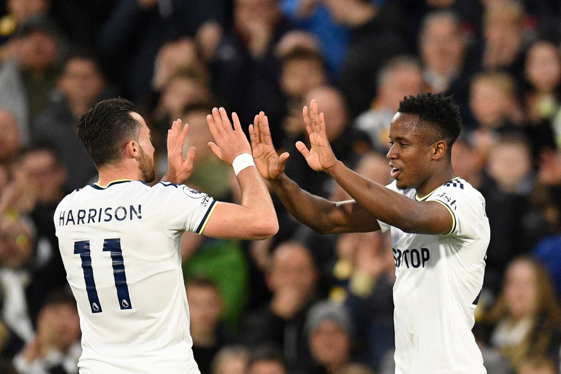 Luis Sinisterra marcó, pero salió lesionado en partido del Leeds United. /  (Photo by OLI SCARFF/AFP via Getty Images)