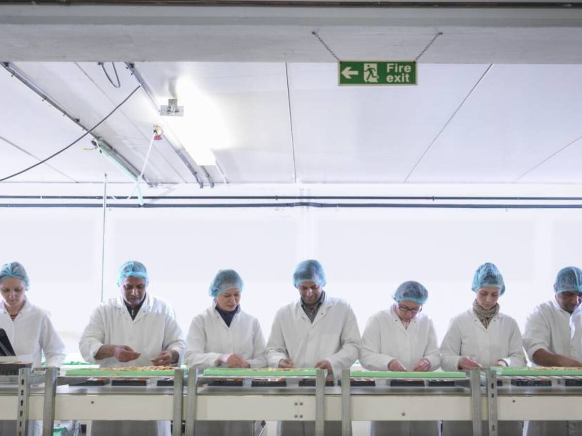 Gobierno extendería programa que subsidia nómina a empleados