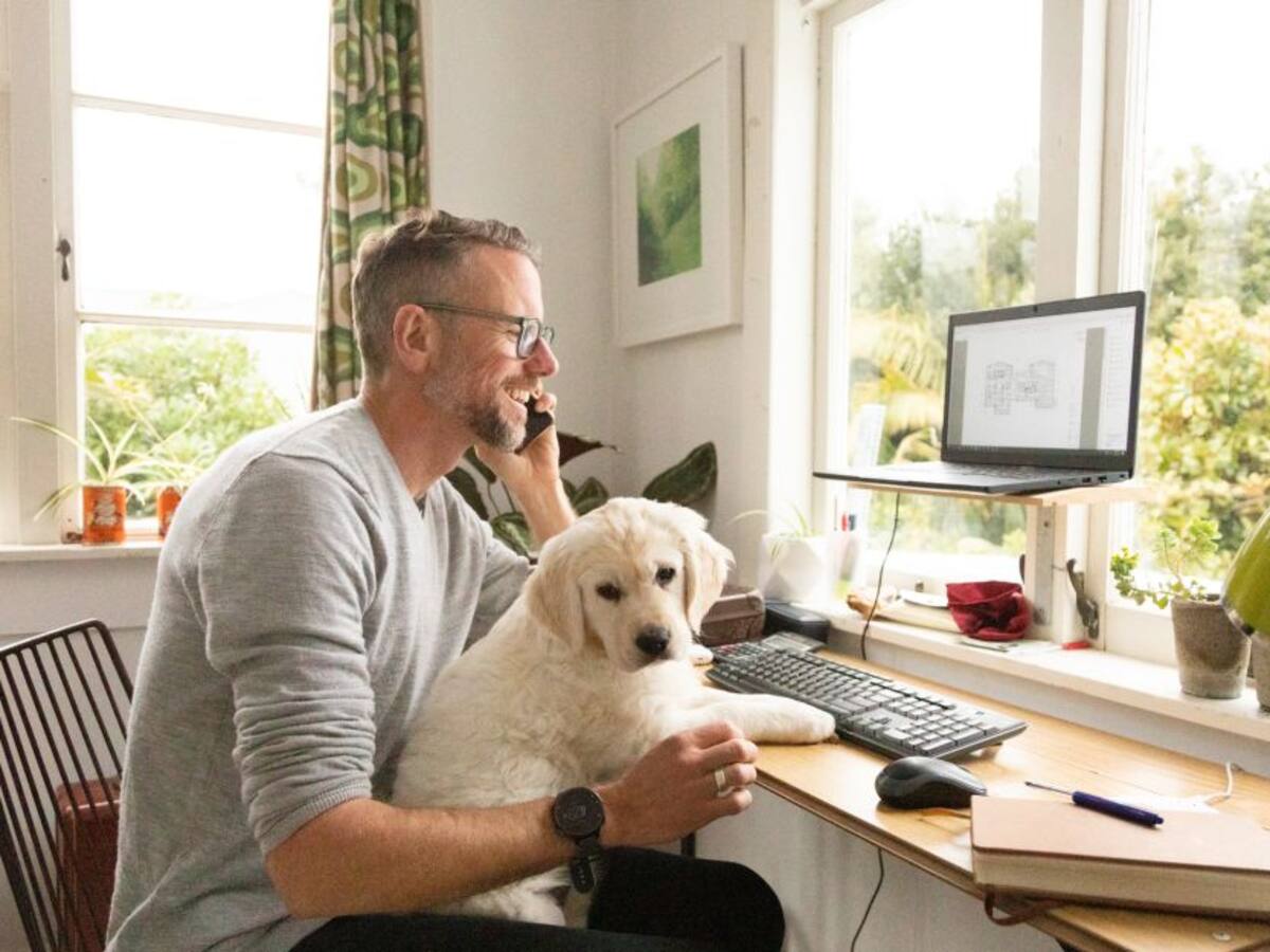 Estos son los días de licencia que podría tener tras muerte de su mascota